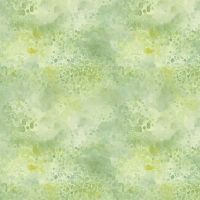 ttTEXTURE-CD4691 DILL